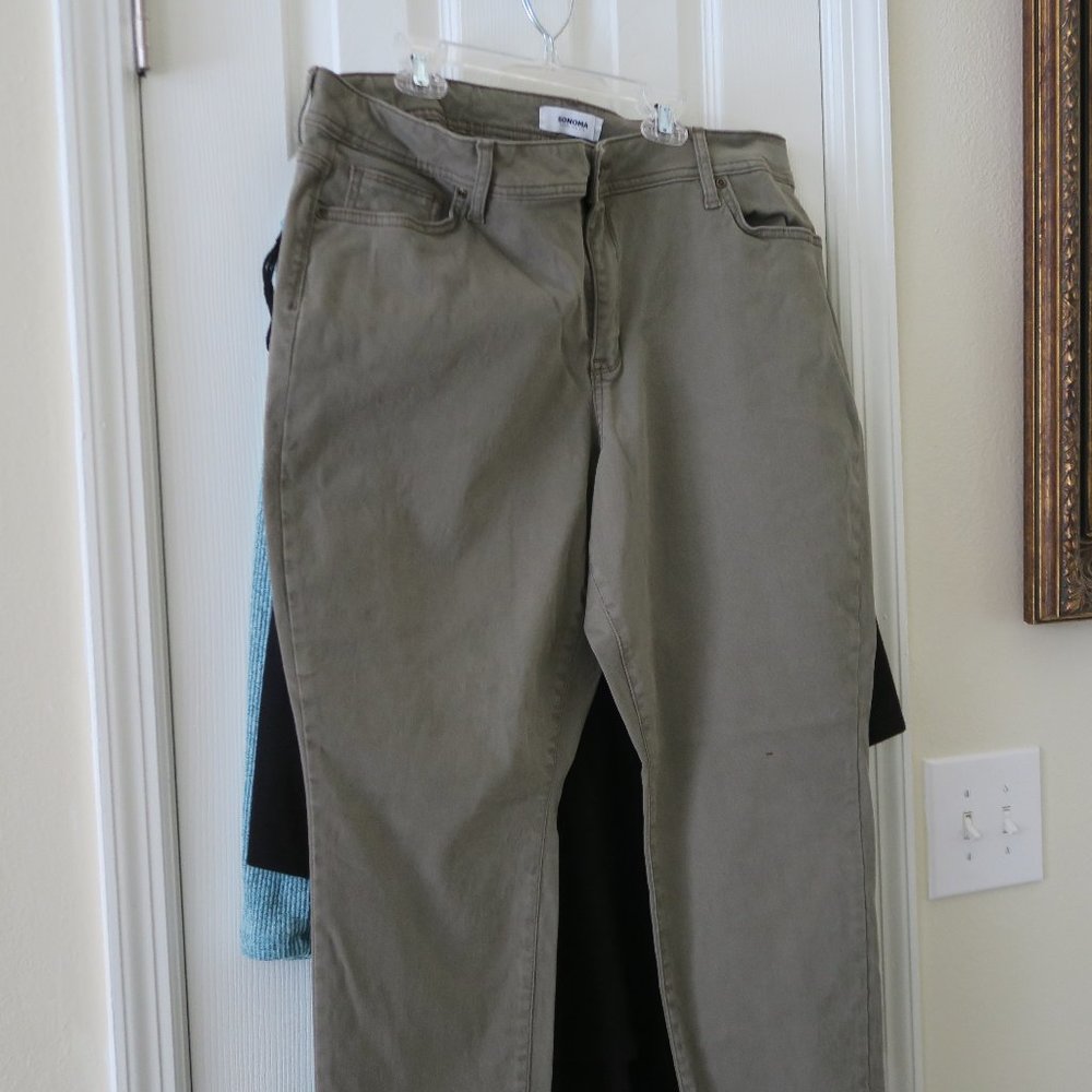 Sonoma Plus Size Skinny Pants
